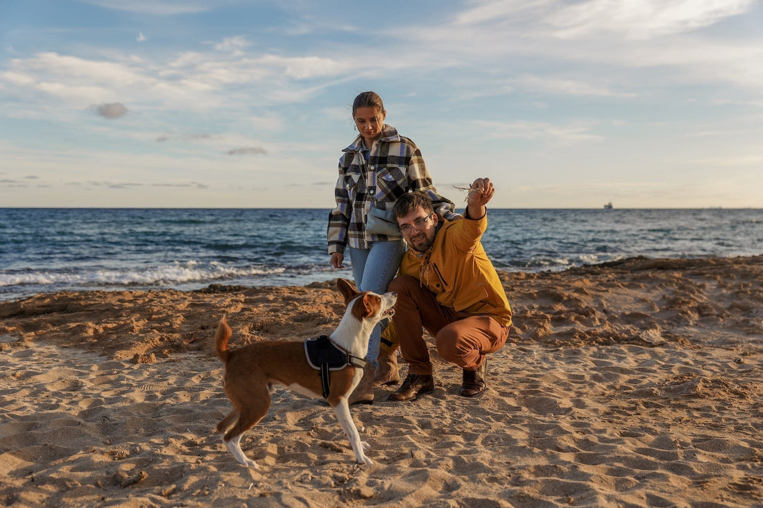 Ein junges Pärchen, welches gemeinsam mit ihrem Hund am Strand steht. Im Hintergrund ist das Meer und klarer Himmel zu sehen.