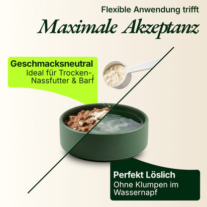 Darm Duo