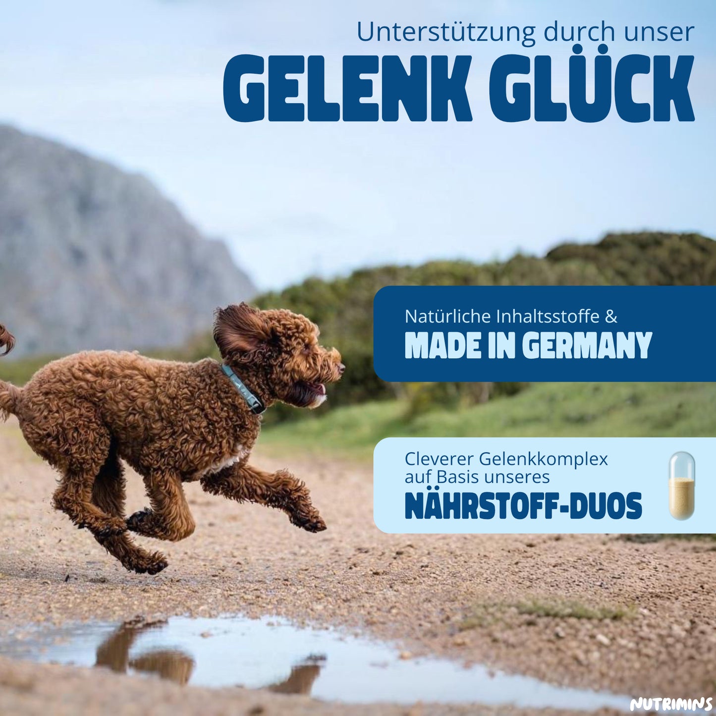 Gelenk Glück