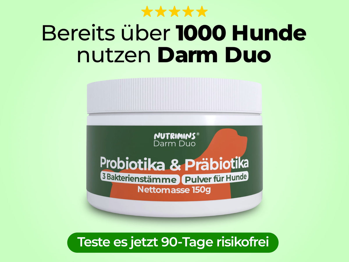 Ein Mix aus Probiotika & Präbiotika speziell für Hunde entwickelt