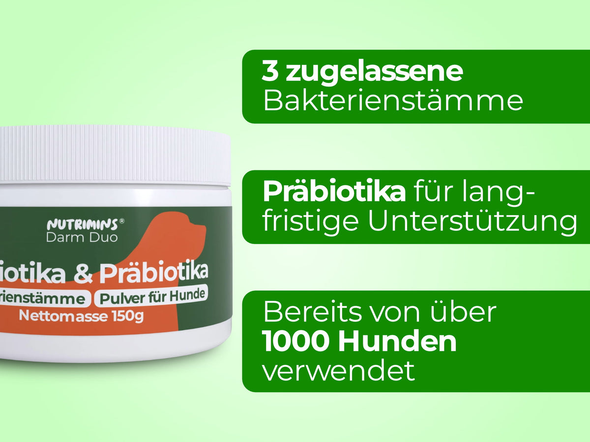 Ein Mix aus Probiotika & Präbiotika speziell für Hunde entwickelt