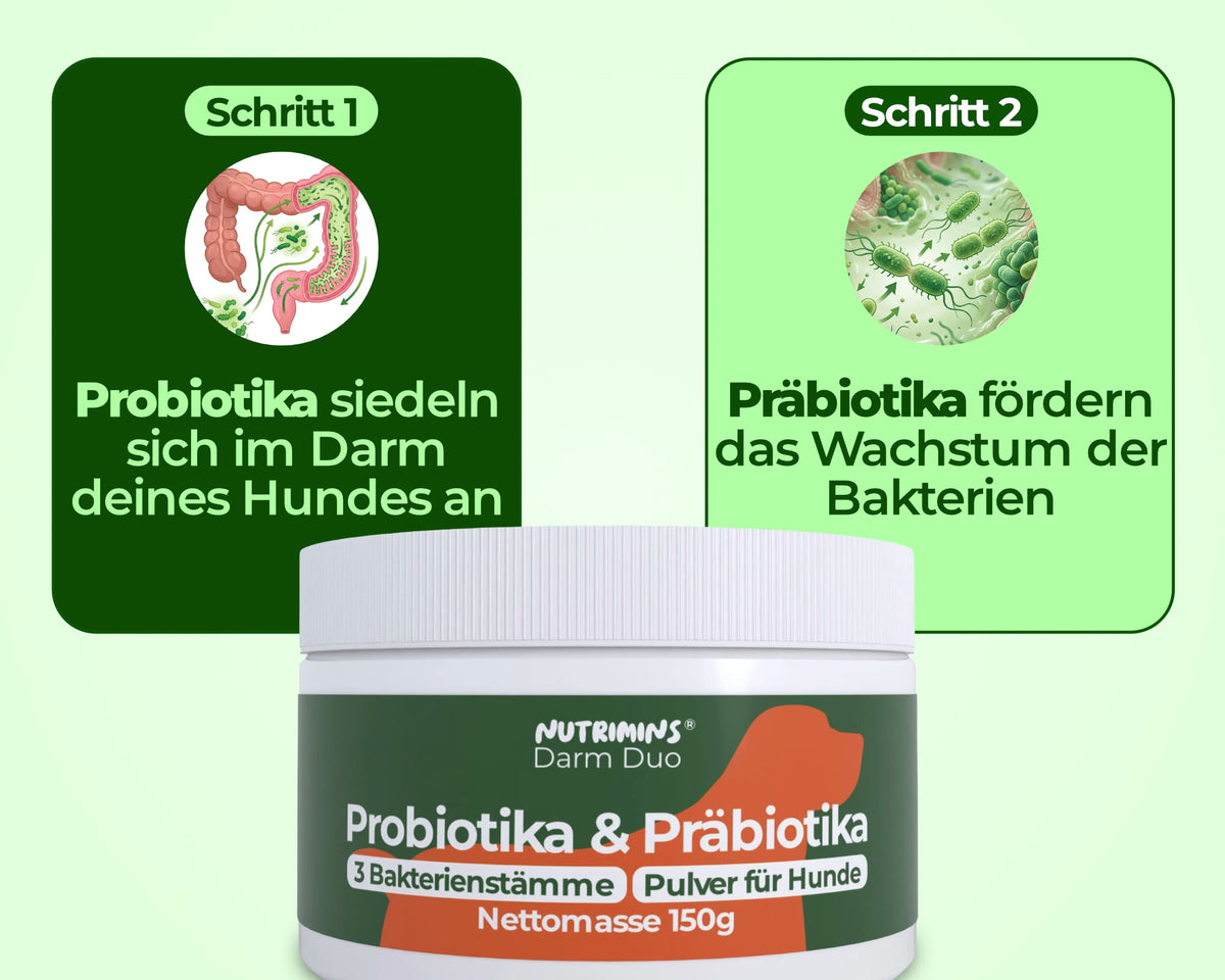 Ein Mix aus Probiotika & Präbiotika für eine maximale Unterstützung