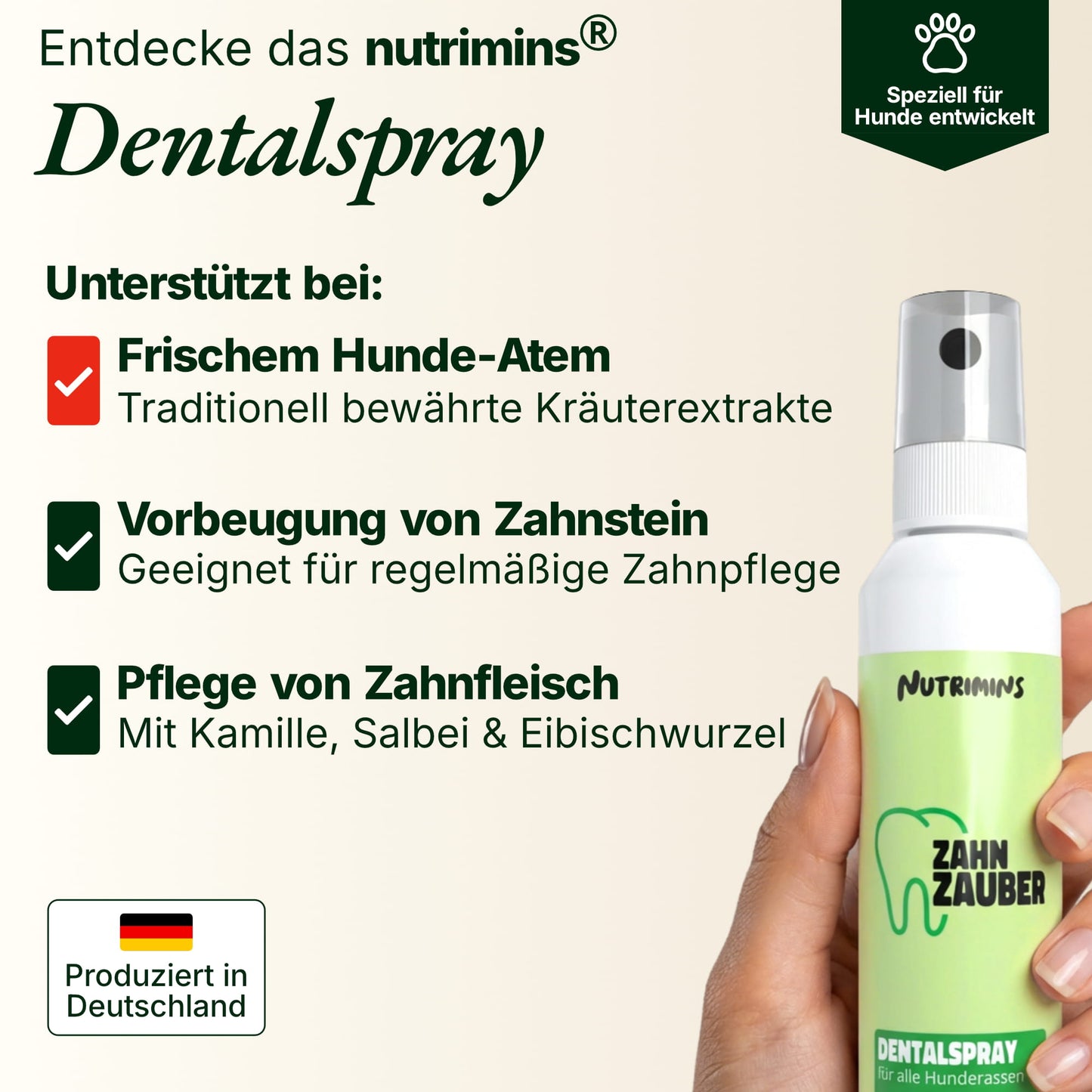 Zahn Zauber