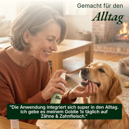 Zahn Zauber