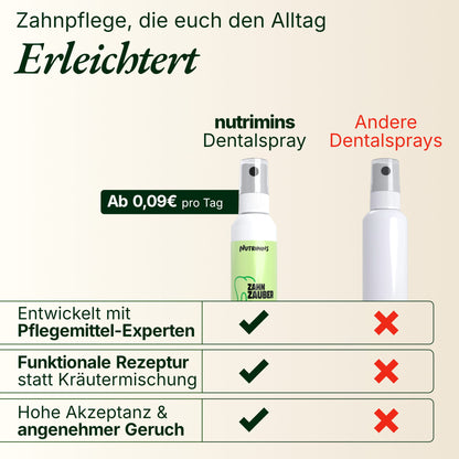 Zahn Zauber