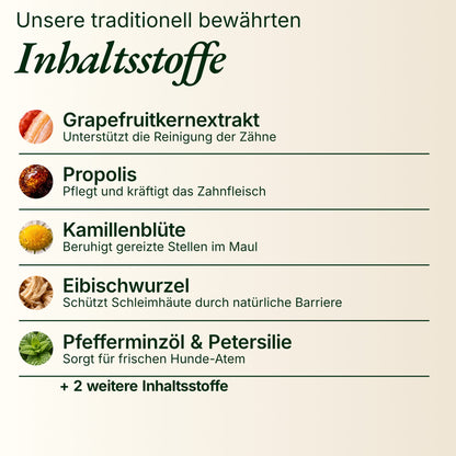 Zahn Zauber