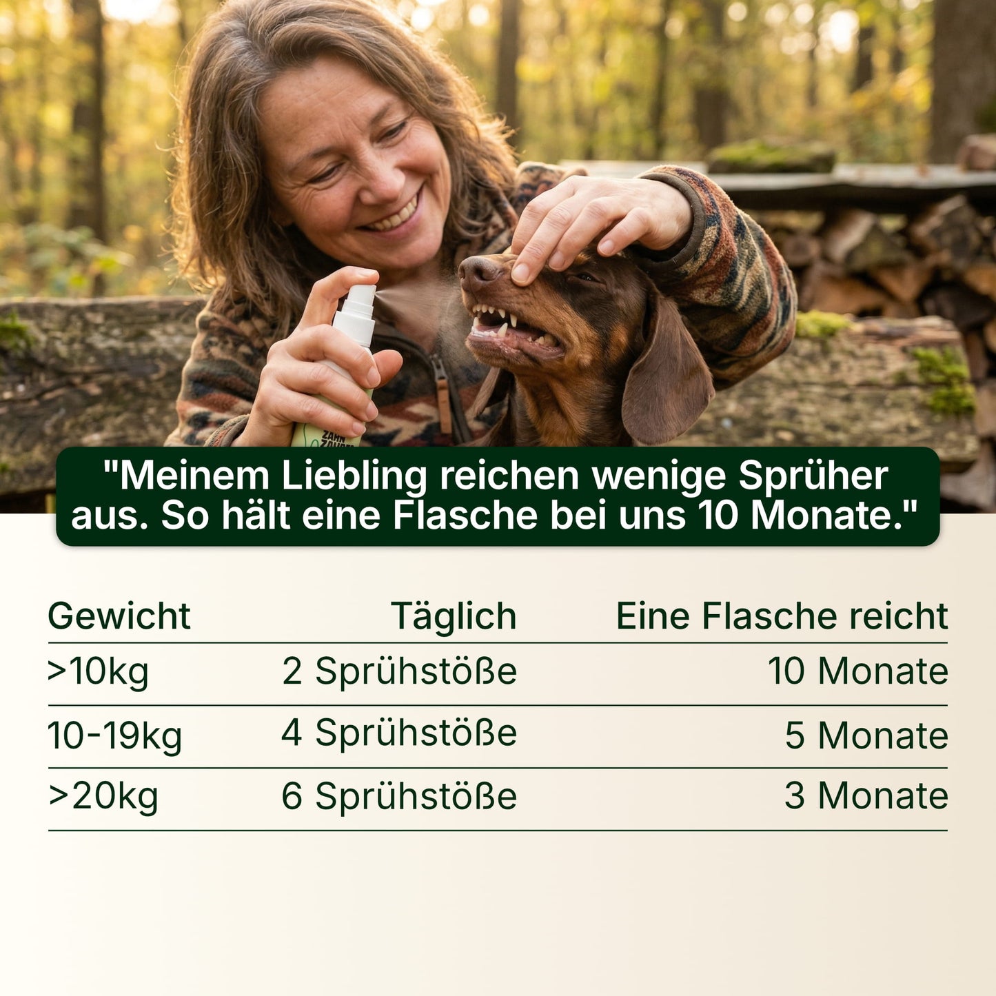 Zahn Zauber
