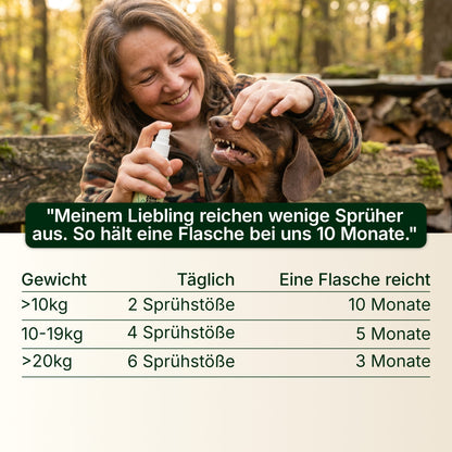 Zahn Zauber